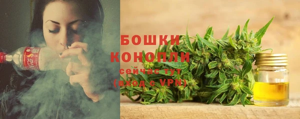 мяу мяу мука Арсеньев