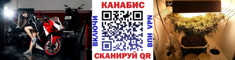 купить наркотик мега ONION Бошки марихуана план Гдов